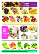 الانتقال إلى الصفحة 3 من 37