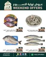 الانتقال إلى الصفحة 6 من 7