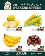 الانتقال إلى الصفحة 5 من 7