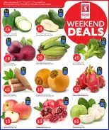 الانتقال إلى الصفحة 2 من 12