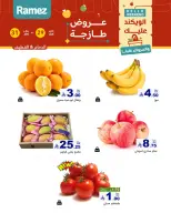 الانتقال إلى الصفحة 2 من 18