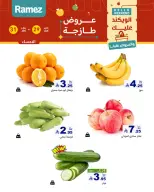 الانتقال إلى الصفحة 6 من 18