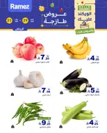 الانتقال إلى الصفحة 2 من 11