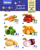 الانتقال إلى الصفحة 3 من 11