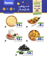 الانتقال إلى الصفحة 5 من 11