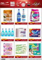 Al Morshedy Egypt Offers from 28 January to 4 February 2026 Household Deals