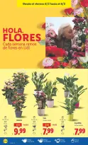 Ofertas de Lidl España de 2 a 8 febrero 2026 ofertas semanales