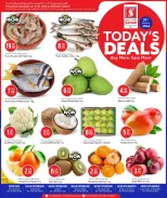 الانتقال إلى الصفحة 1 من 2