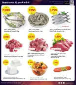 الانتقال إلى الصفحة 3 من 39