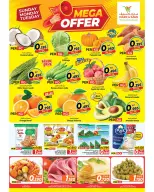 الانتقال إلى الصفحة 3 من 4