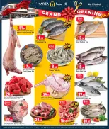 Marza Hypermarket Qatar Offers from 2 to 4 February 2026 Grand Opening Offers