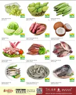 الانتقال إلى الصفحة 2 من 3