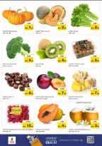 الانتقال إلى الصفحة 9 من 11