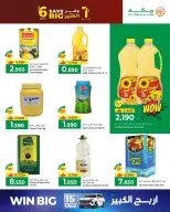 الانتقال إلى الصفحة 11 من 12