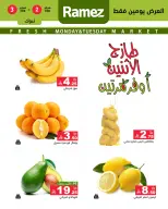 الانتقال إلى الصفحة 2 من 5