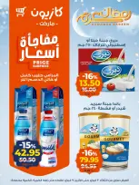 الانتقال إلى الصفحة 11 من 20