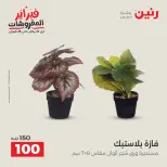 الانتقال إلى الصفحة 39 من 43