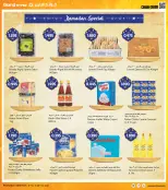 الانتقال إلى الصفحة 15 من 37