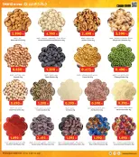 الانتقال إلى الصفحة 16 من 37