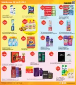 الانتقال إلى الصفحة 20 من 37