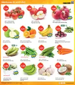 الانتقال إلى الصفحة 3 من 37