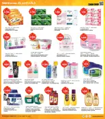 الانتقال إلى الصفحة 22 من 37