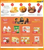 الانتقال إلى الصفحة 5 من 37