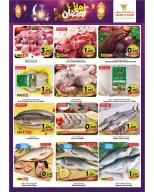 الانتقال إلى الصفحة 19 من 19