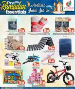 الانتقال إلى الصفحة 11 من 14