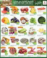 الانتقال إلى الصفحة 12 من 21