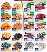 الانتقال إلى الصفحة 20 من 24