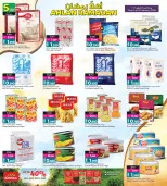 الانتقال إلى الصفحة 17 من 24