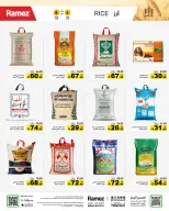 الانتقال إلى الصفحة 2 من 74