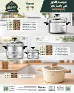 الانتقال إلى الصفحة 43 من 74