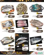 الانتقال إلى الصفحة 8 من 10