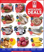 الانتقال إلى الصفحة 1 من 17