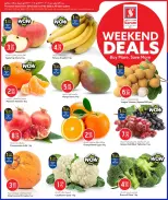 الانتقال إلى الصفحة 2 من 17