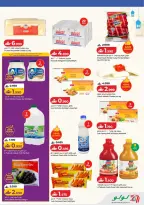 الانتقال إلى الصفحة 26 من 41