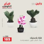 Raneen Egypt Offers from 8 to 9 February 2026 Decorative pieces offers - Page 36