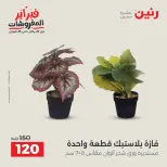 Raneen Egypt Offers from 8 to 9 February 2026 Decorative pieces offers - Page 39