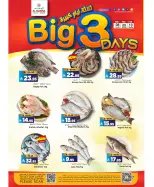 Al Madina Hypermarket Saudi Arabia Offers from 8 to 10 February 2026 Big Day Deals