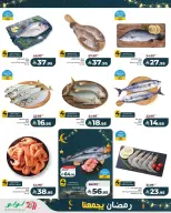 Lulu  Eastern Province  Offers from 11 to 17 February Ramadan offers bring us together - Page 5
