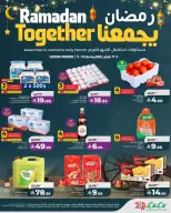 Lulu  Eastern Province  Offers from 11 to 17 February Ramadan offers bring us together - Page 10