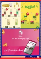 Carrefour Egypt Offers from 12 to 22 February 2026 Ramadan offers are ready and complete - Page 16