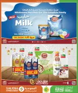 Offres Mini-marché Kenz Qatar de 12 février à 2 mars 2026 Offres Ramadan Moubarak - Mini-marché Kenz - Qatar - 12 fevrier 2026 – 2 mars 2026 - Page 7