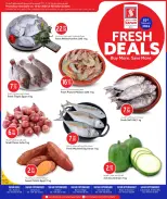 Safari hypermarket Qatar Offers Sunday 15 February Fresh deals - Page 1