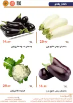 Offres Marchés de Ghallab  Fayoum  de 17 à 19 février Offres fraîches - Marchés de Ghallab - Egypte - 17 fevrier 2026 – 19 fevrier 2026 - Page 6