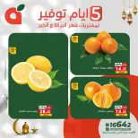 عروض بنده مصر من 17 حتى 21 فبراير 2026 عروض أيام التوفير