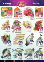 City flower  Sakaka  Offers from 18 to 24 February Ramadan Market Offers - Page 12