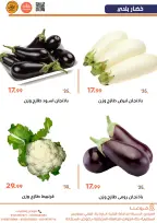 Offres Marchés de Ghallab Egypte de 23 à 24 février 2026 Offres de fruits et légumes - Marchés de Ghallab - Egypte - 23 fevrier 2026 – 24 fevrier 2026 - Page 6